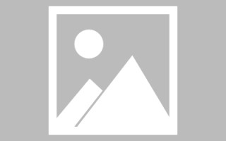 上海网页设计英文默认字体（网页设置英文转换中文）